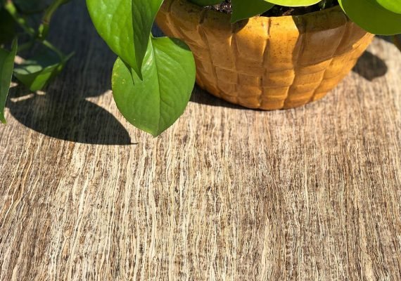 156632053 3568660209906575 7496861999196467869 n