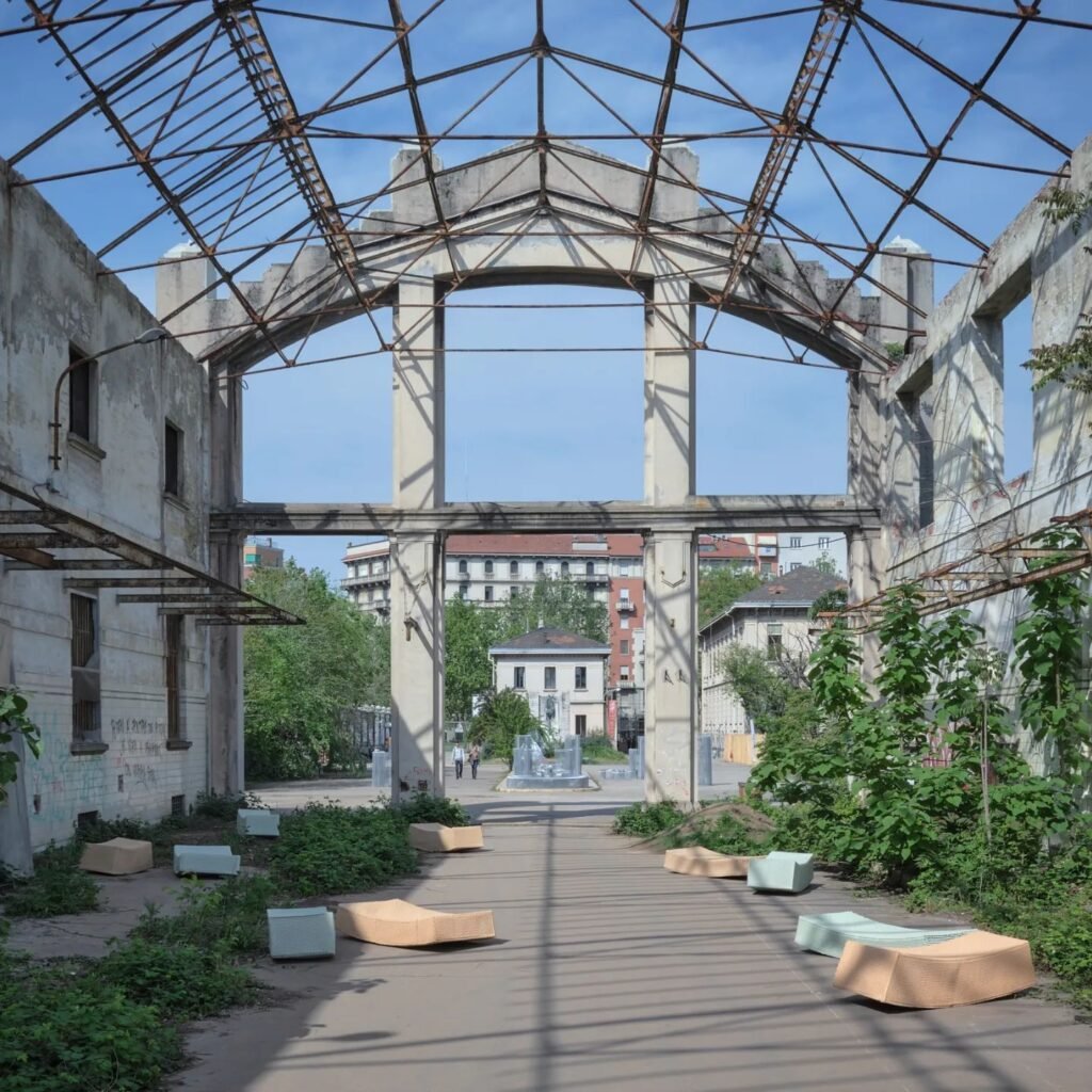 350701191 614651000633915 8444981830944050630 n